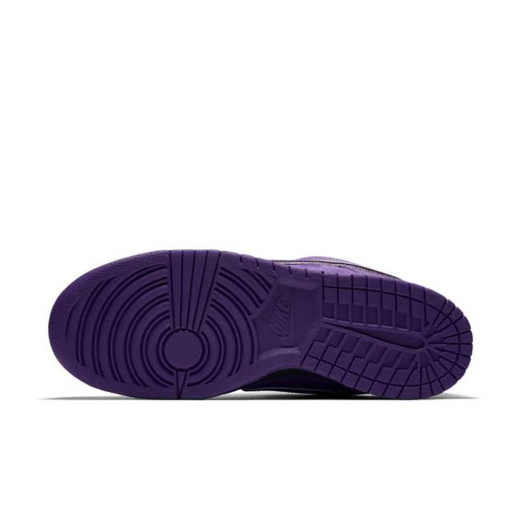 Nike SB Dunk Low outsole view showing traction and sole pattern