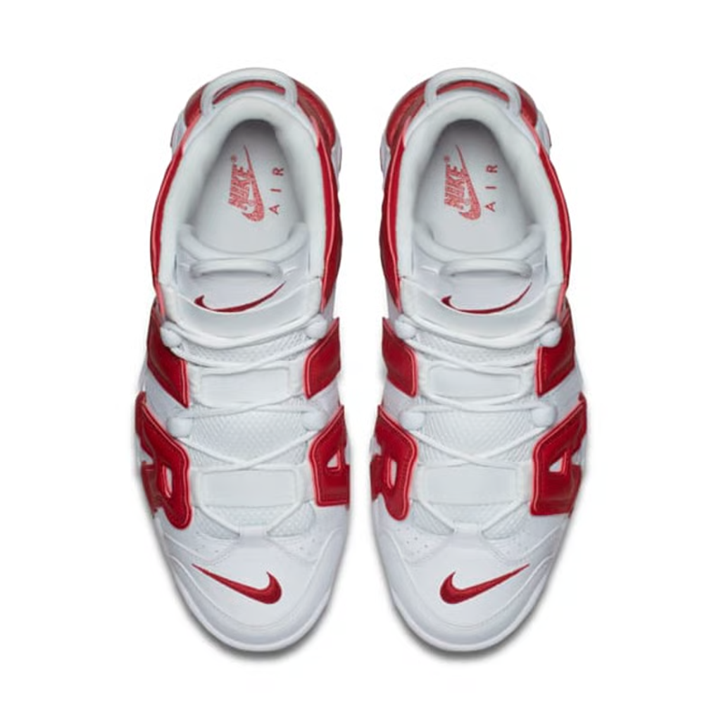 176161772189286_.pic