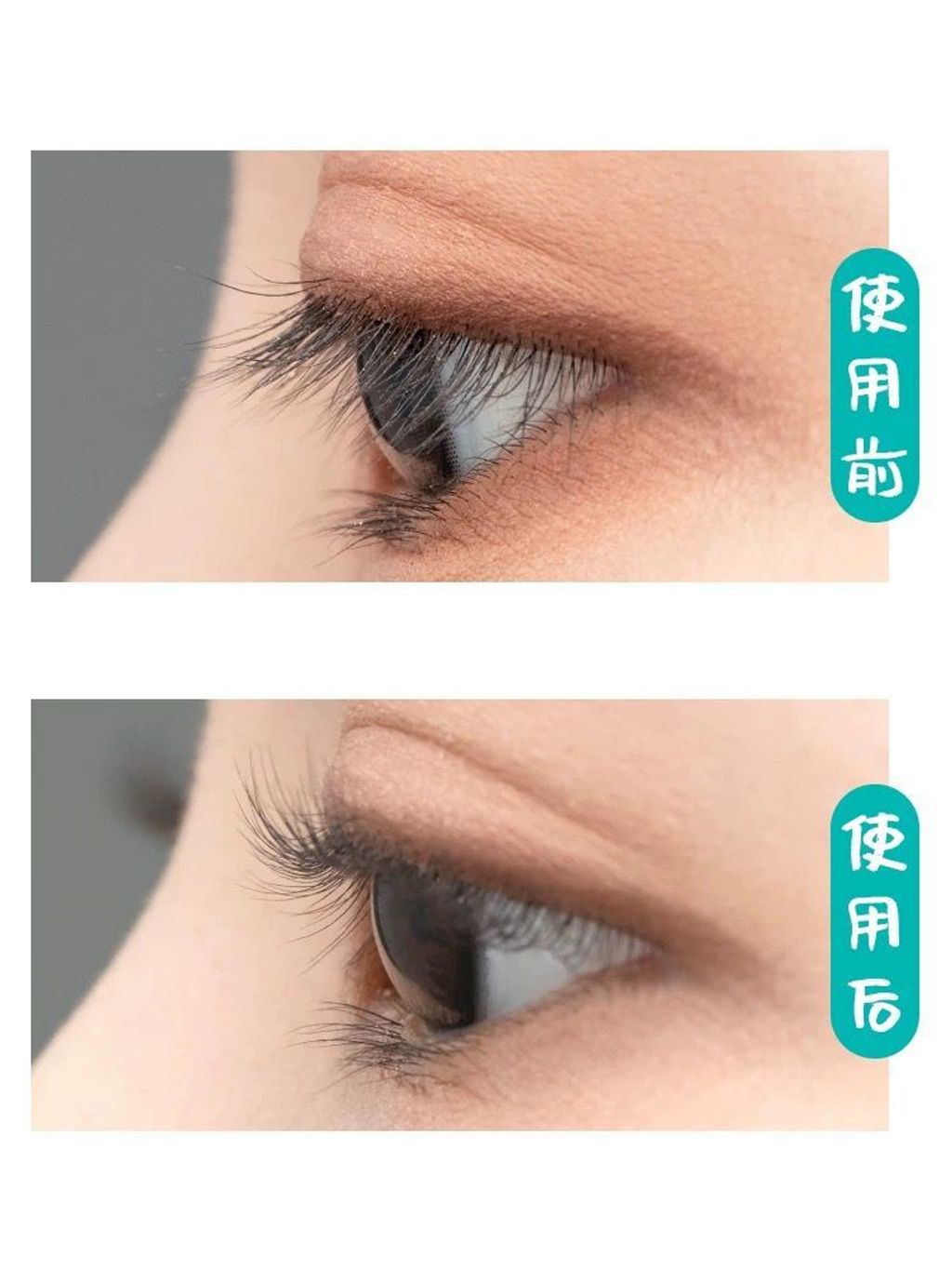 2cdfb4f5-c484-40b2-beb9-78c6660bcd13