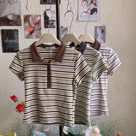 IMG_4206 Large