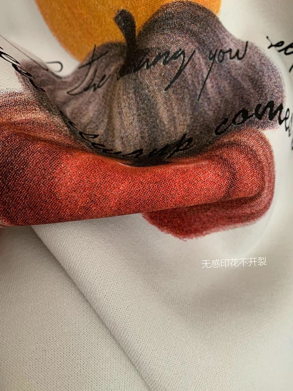 O1CN01l02g201SSieowfp8Y_!!2201423822246