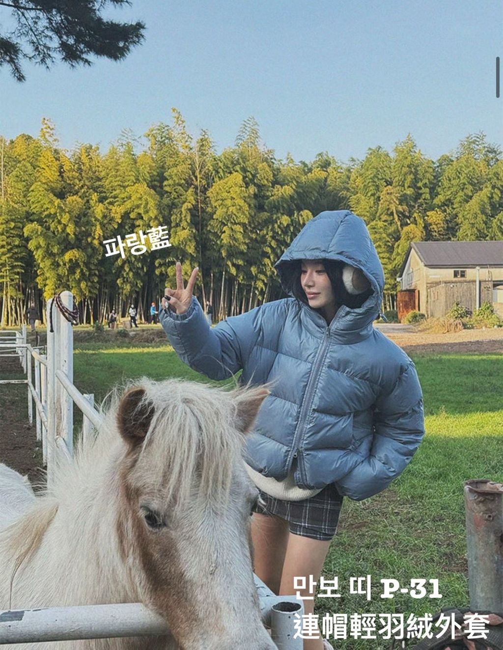 image_0996510B-30CD-41B9-A94B-271D63AABEB5_1766565589