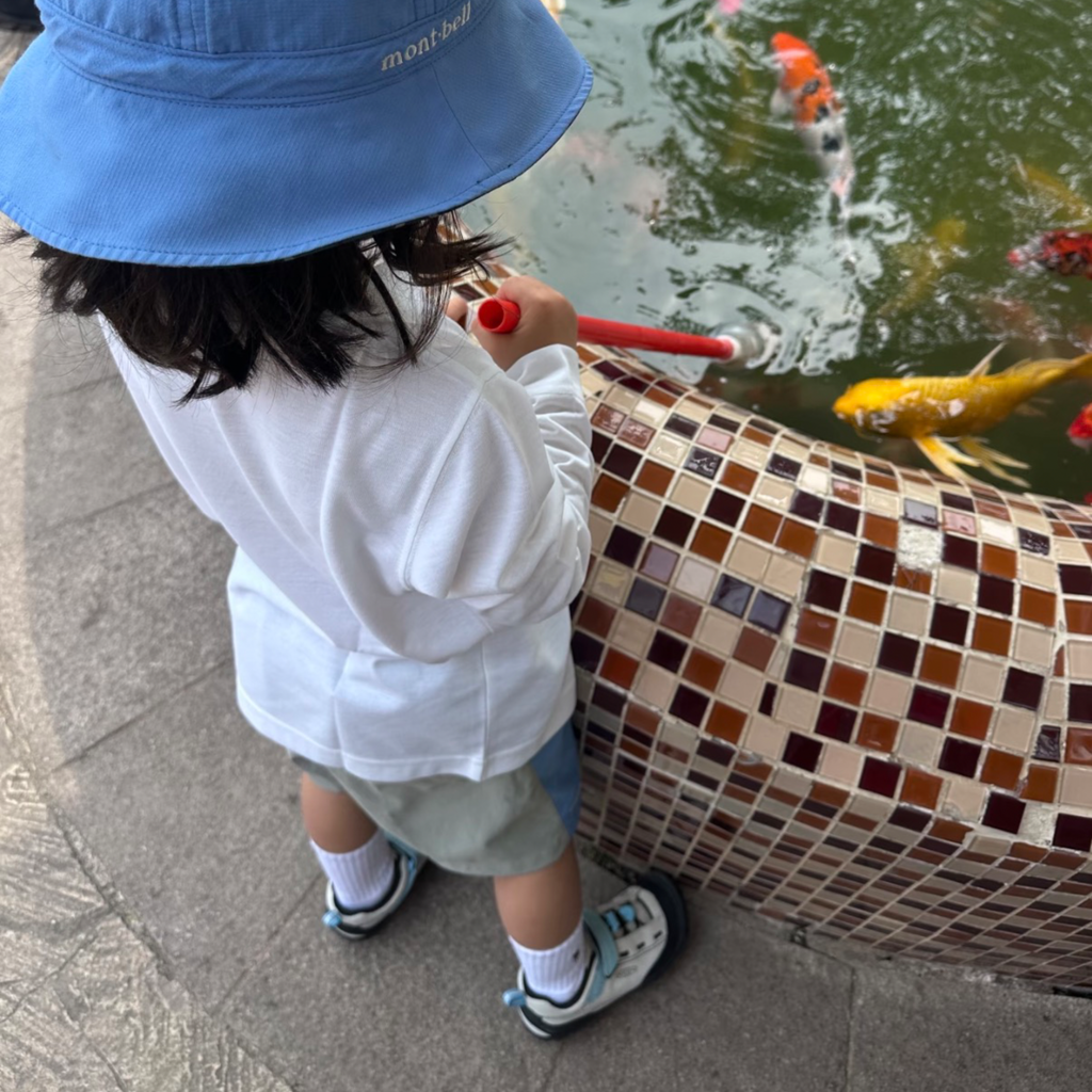 image_03D92422-886E-4495-8CC2-6AE873FE71EC_1781578318