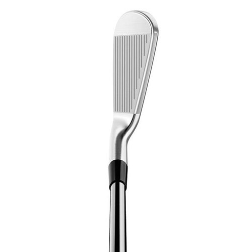 image_5919DE62-0072-4788-8247-13AFC50C802B_1775207417