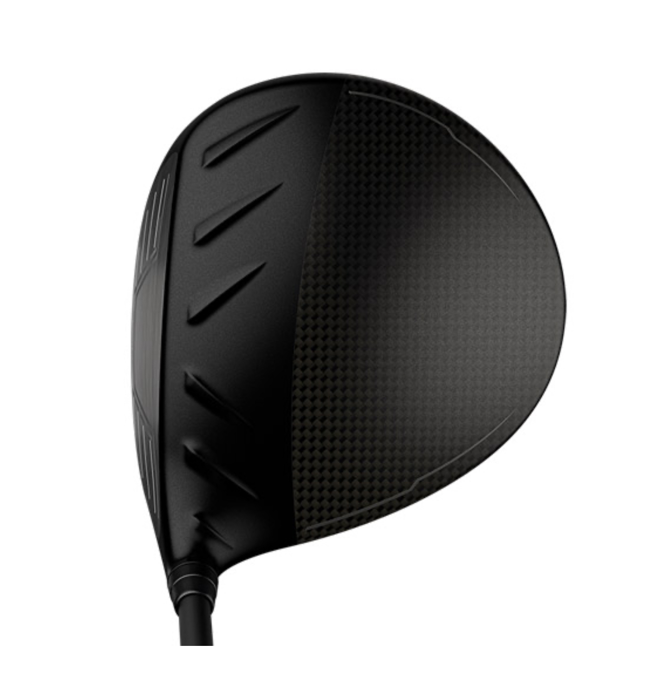 image_DC50ADFB-8B42-4FE5-A237-C6C2837936BA_1759385696