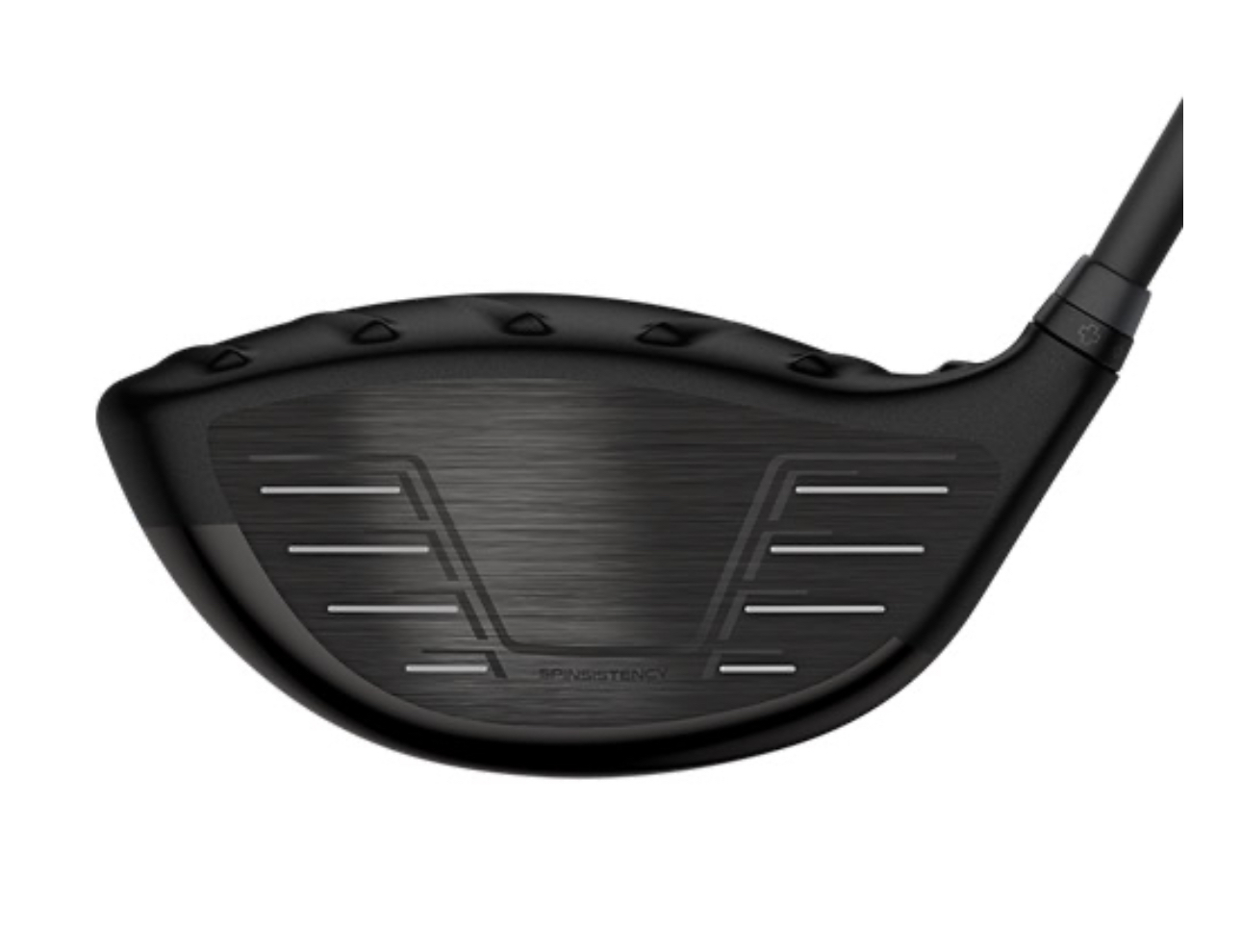 image_3CF90668-2B18-4B40-BAEB-ECE55C5E15DD_1759385696