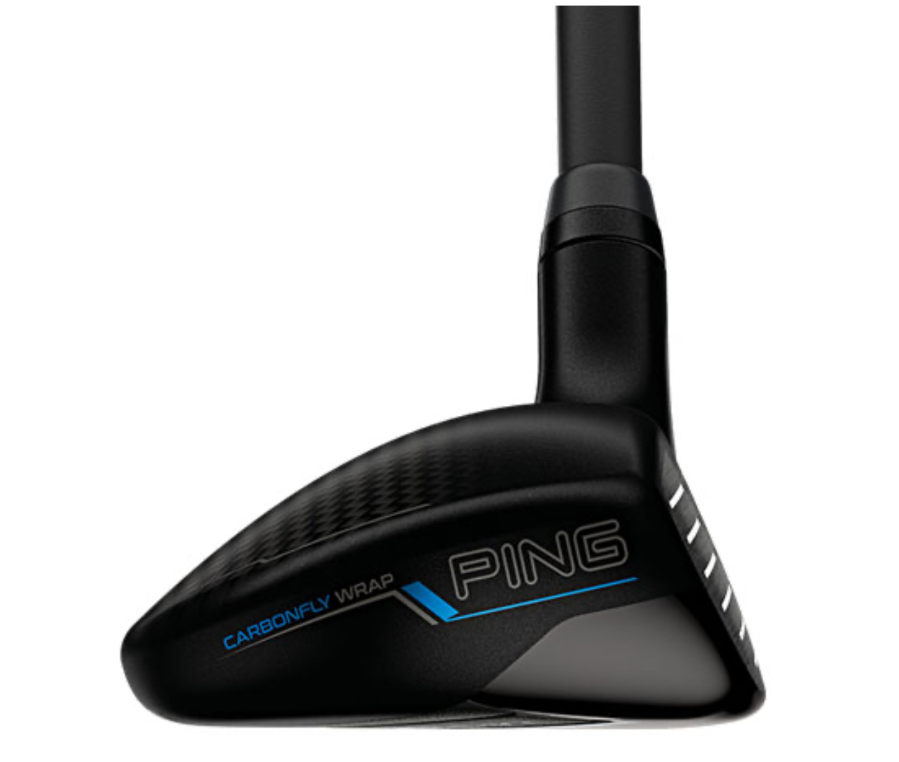 image_23100124-5A89-472F-8032-60C69AFDF769_1759389586