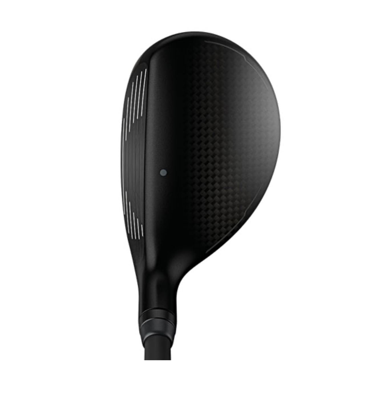 image_2CD07FE6-262D-4551-B7B4-568A2D384A76_1759389586