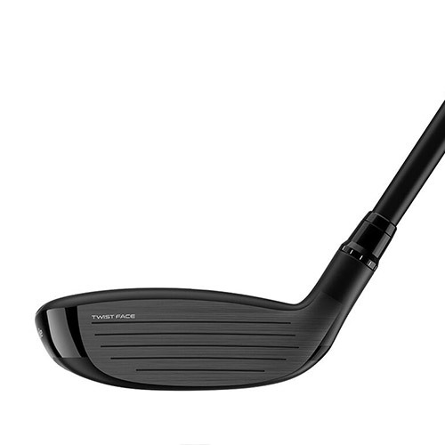 image_69590D6D-A400-441B-A837-B952D5CC5E3B_1769754854