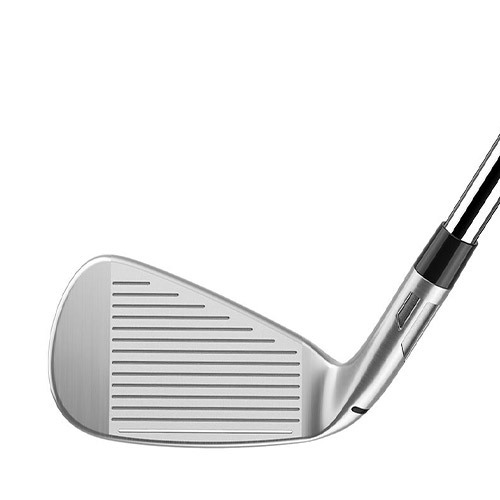 image_56A5F385-7D88-46BA-9F8D-8EE7D841D741_1769755065