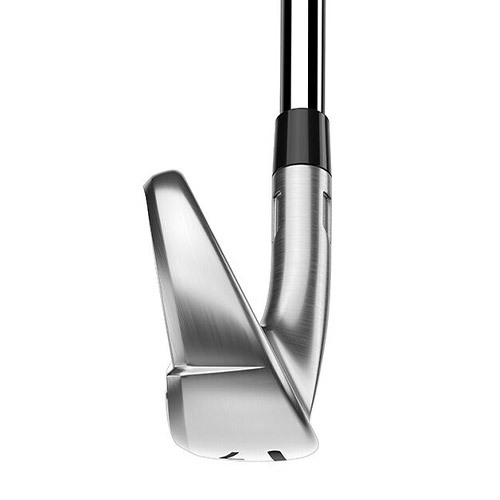 image_03BCE518-5BCD-429B-824E-2669F761E927_1769755127