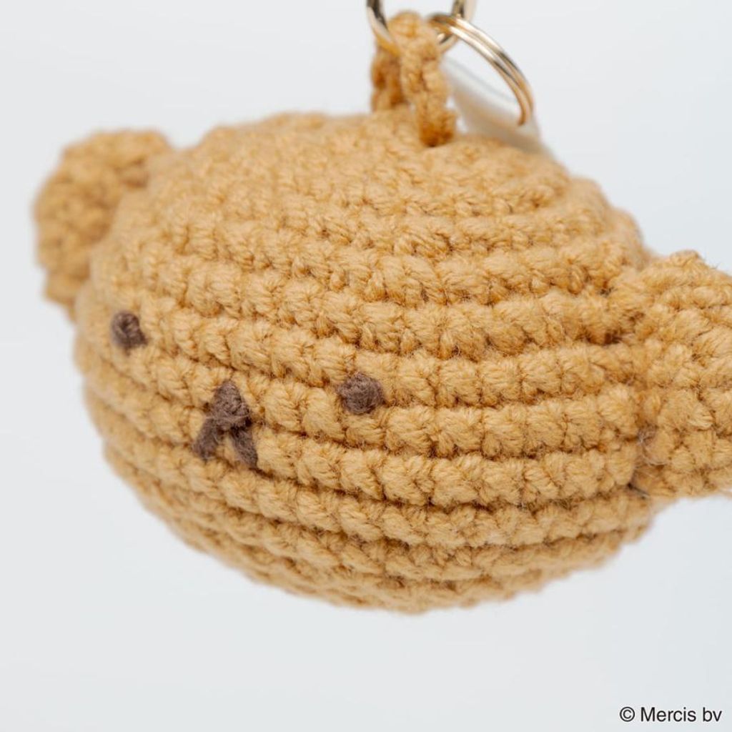 digital-ringo_ringo1-2094r_5_d_20251028165642