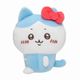 kitty