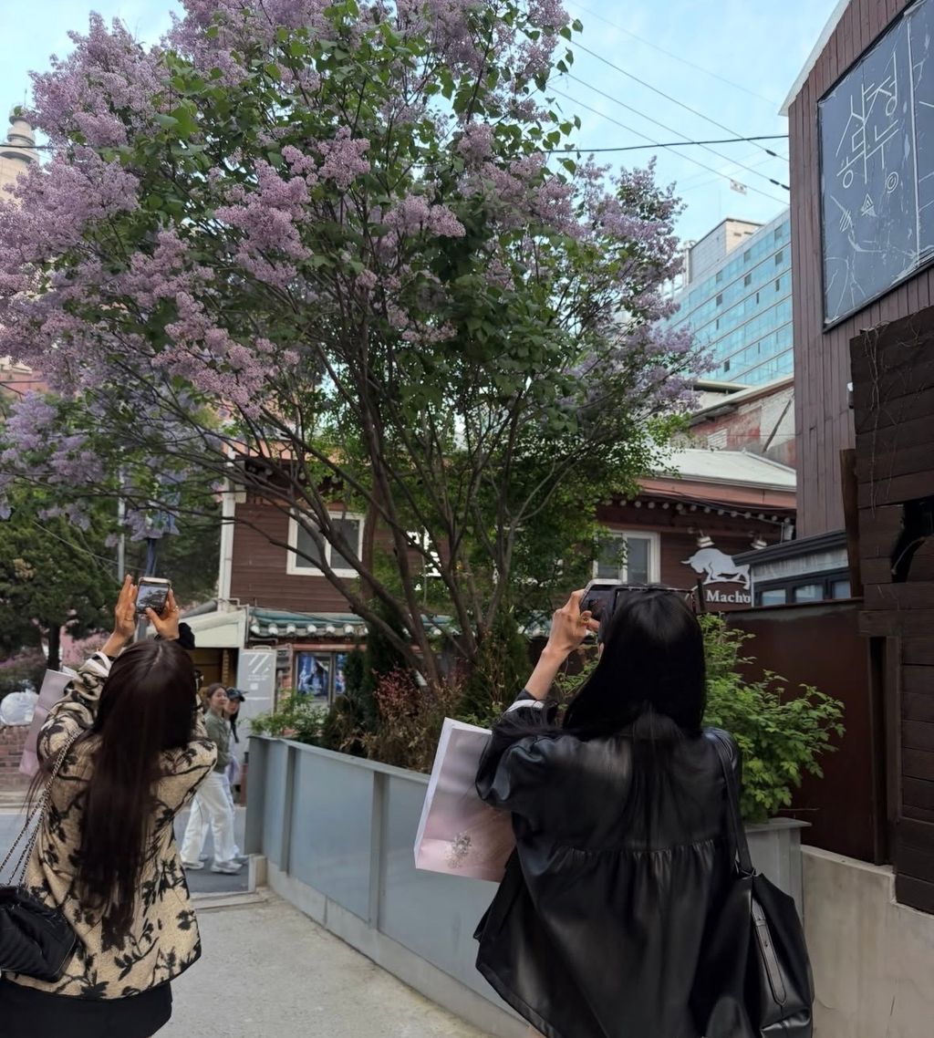 image_2CEFA8A1-1A59-4E66-8797-C2264E6B1F0E_1779088546