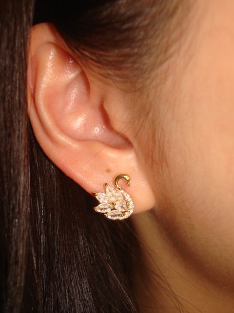 image_0BECB383-DBBA-4AAC-9CD1-BC15FAFABEBA_1775629506