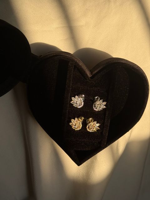 image_BF73BFDC-4135-46ED-B979-EDAB89D66C2E_1775629506