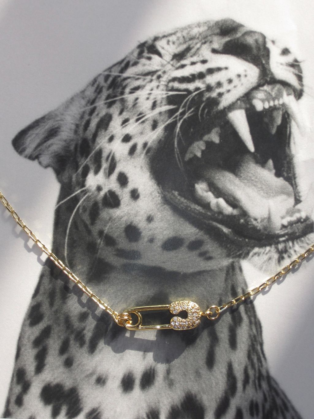 image_595B9200-FE84-4E24-9EDF-44349C336281_1753465413