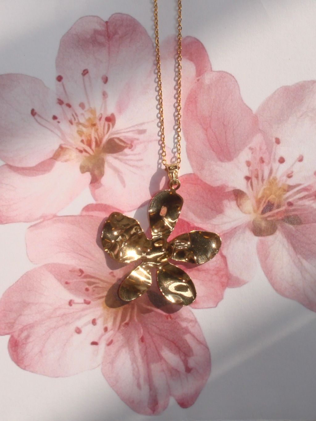 image_95E16D87-B8B9-4A3E-ACB8-DC7BB3DC2908_1760029883