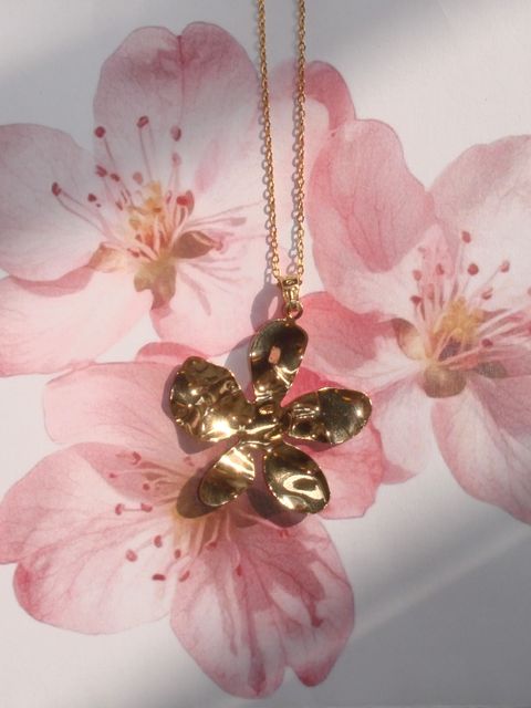 image_95E16D87-B8B9-4A3E-ACB8-DC7BB3DC2908_1760029883