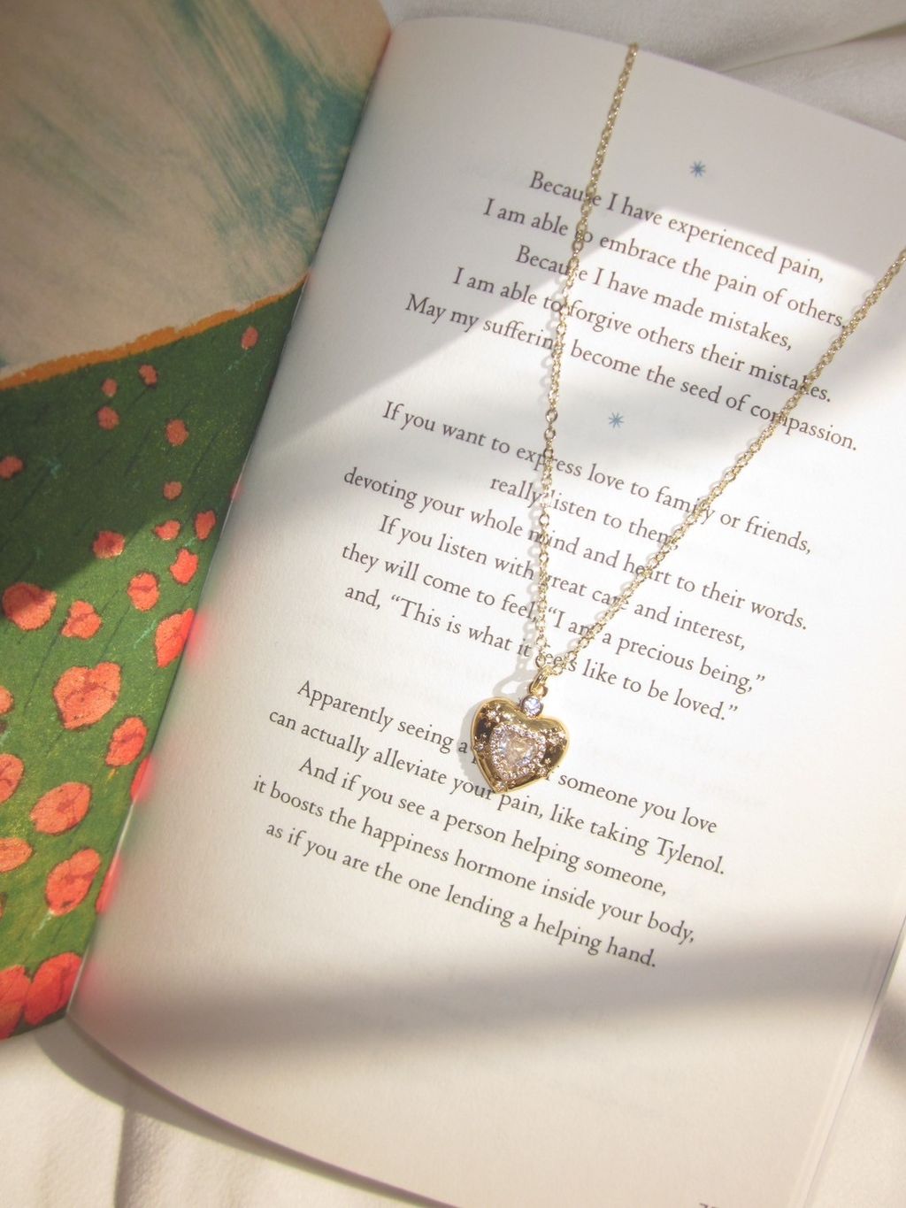 image_EE044484-F25E-429A-94F2-A9AEA3559A72_1760514287