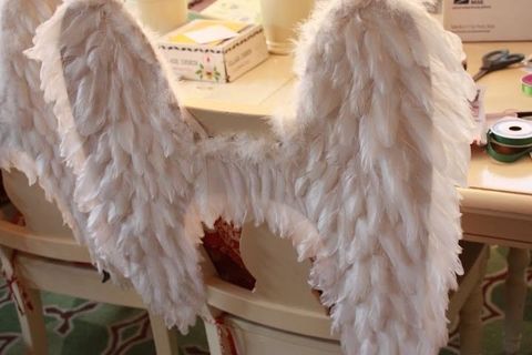 image_6F23E0FA-E535-421F-B22E-B84EC17D9F86_1765092531