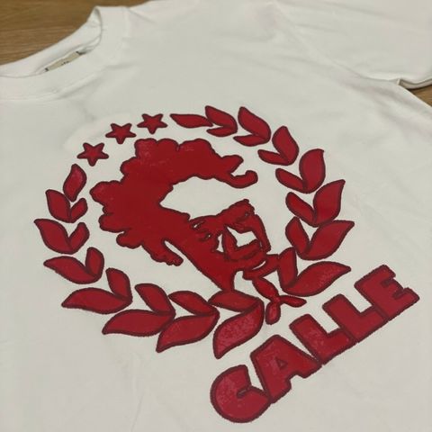 image_9FF4C155-8C34-44B3-A52A-56D0A091D0D0_1755292676