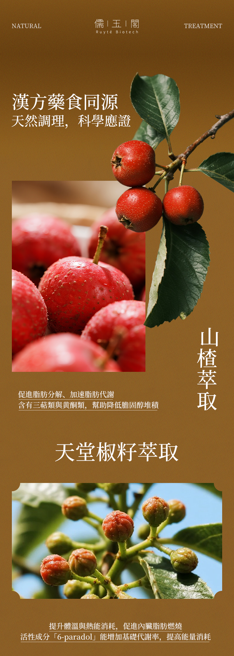 輕煥盈(文字修正最終版)_02