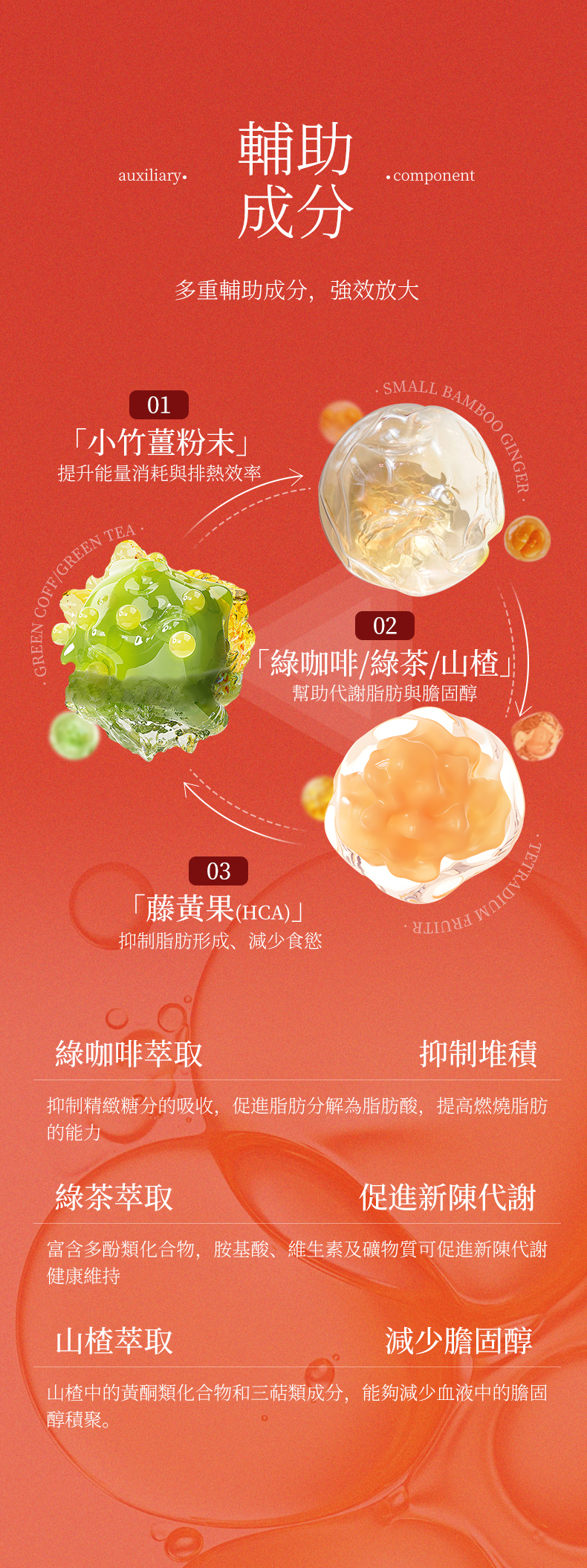 輕煥盈(文字修正最終版)_04