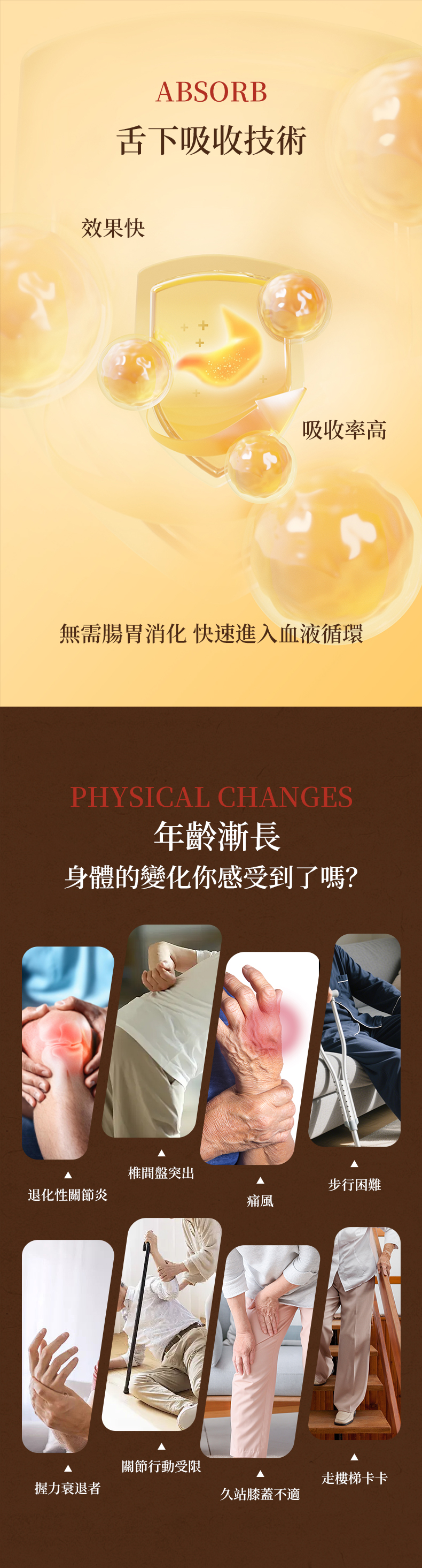 堅⻣御详情页1_04