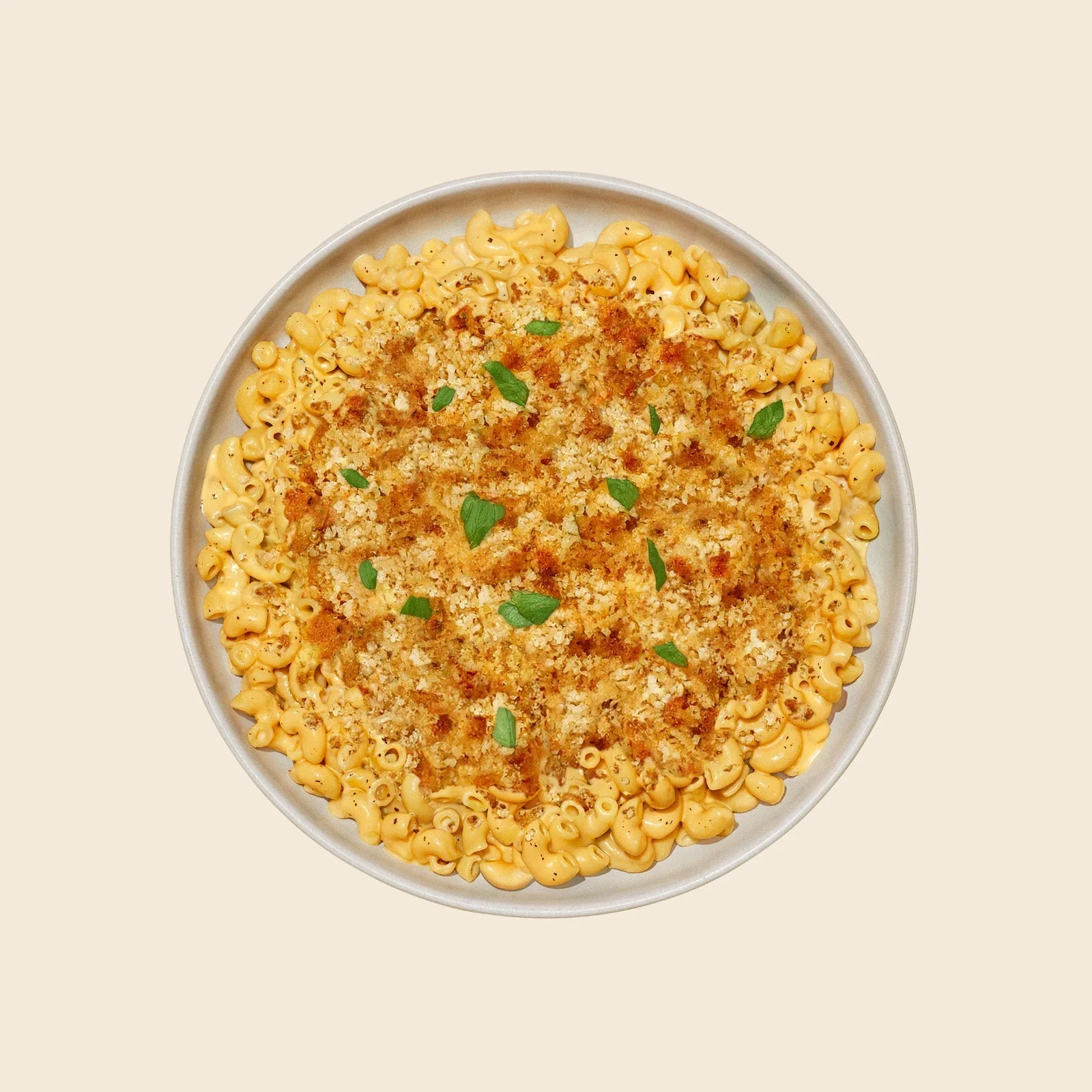 Elbow_FINAL_RGB_1600x