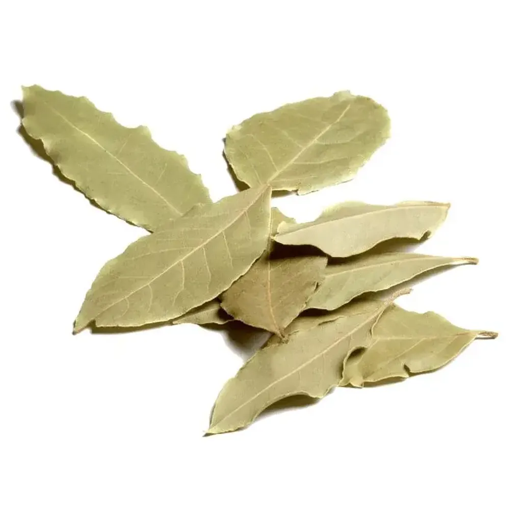 800x