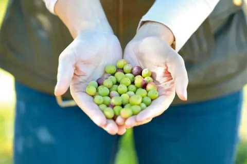 b6d7a073a43e01254f9348963a4585acf6283508