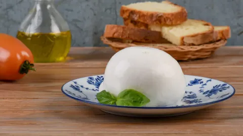 mozzarella