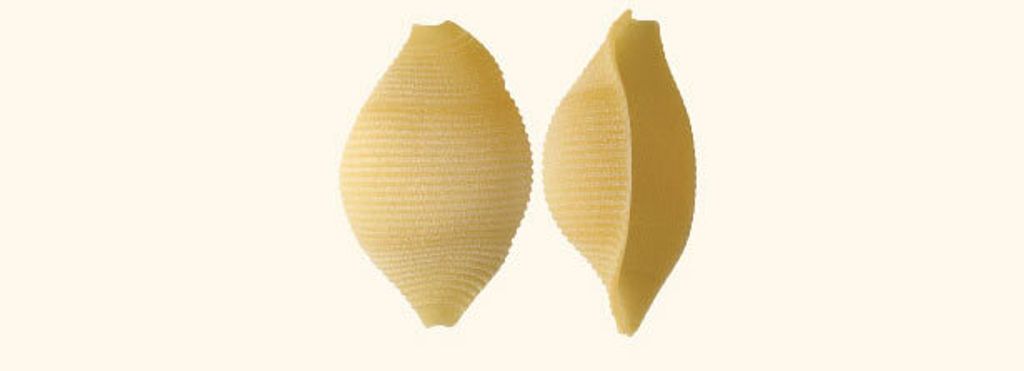 44_particolare_conchiglioni_rigati-1