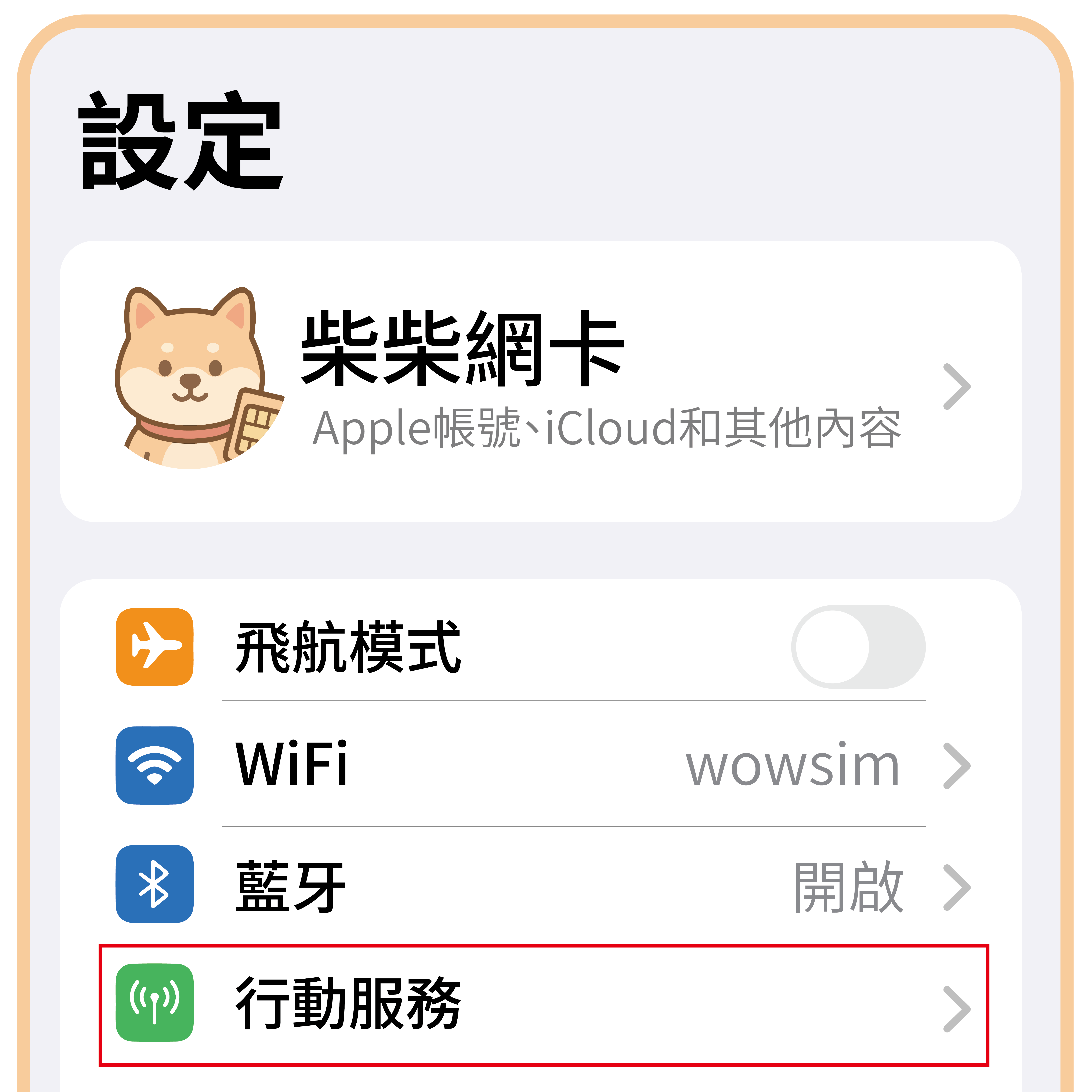 實體SIM卡說明圖_工作區域 1