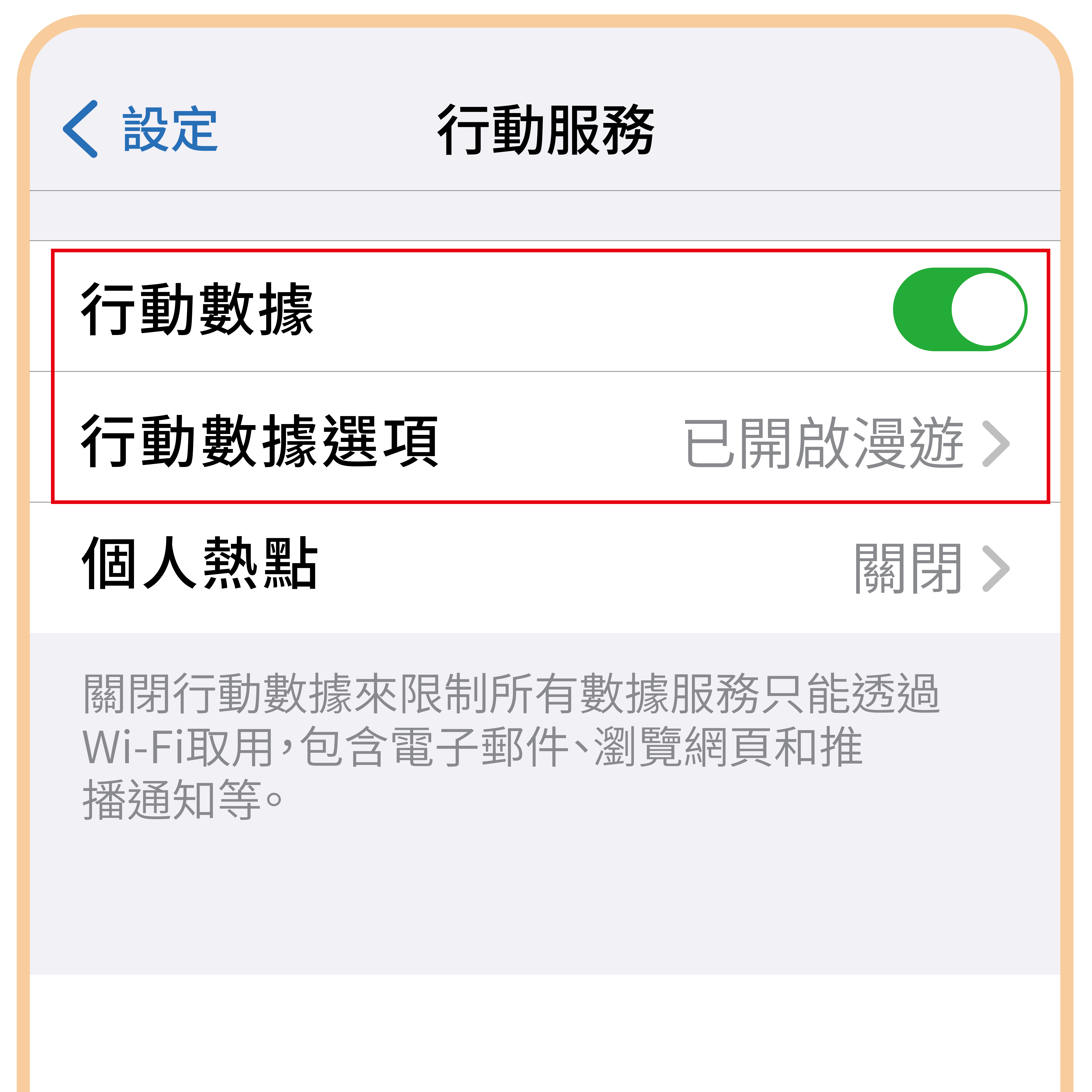 實體SIM卡說明圖-02