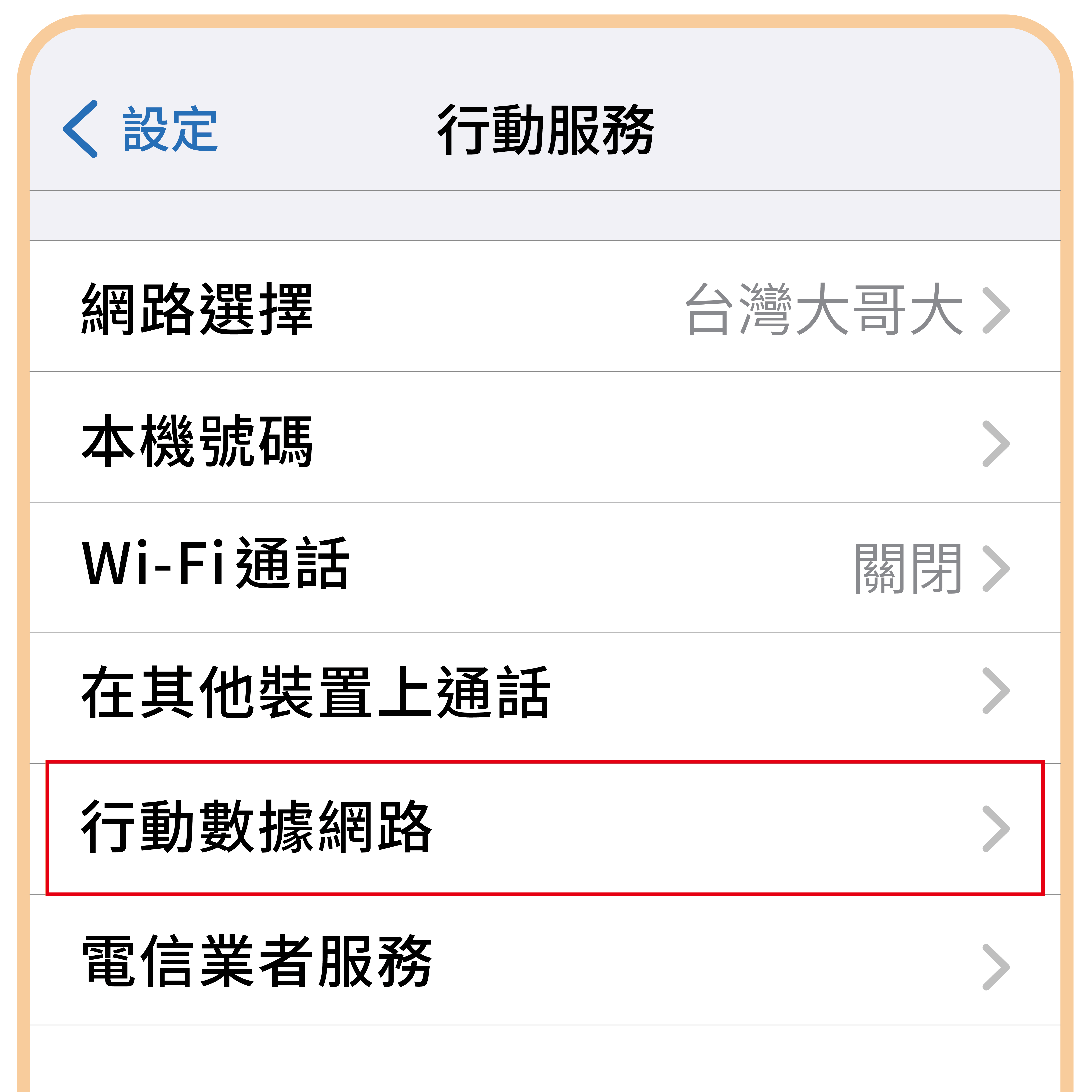 實體SIM卡說明圖-03
