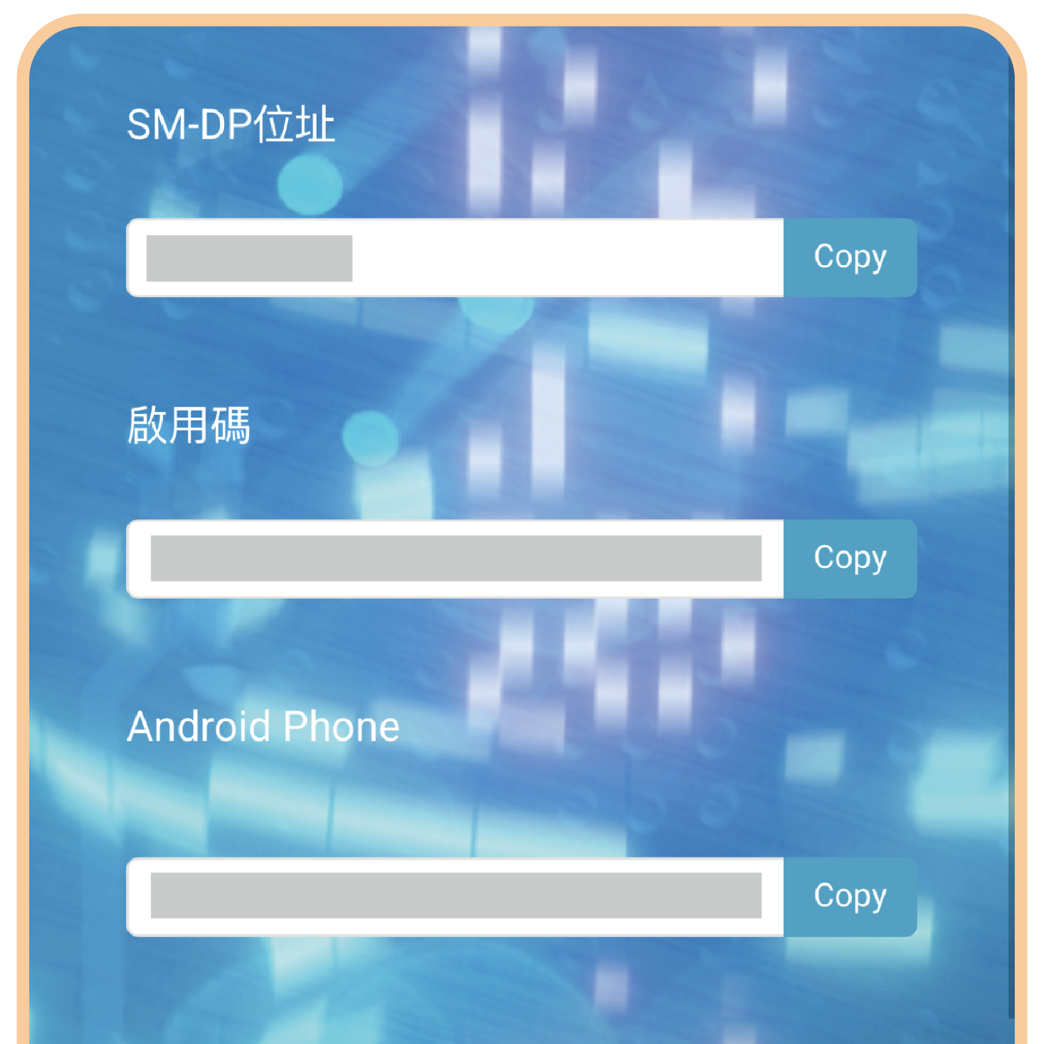 實體SIM卡說明圖_工作區域 1