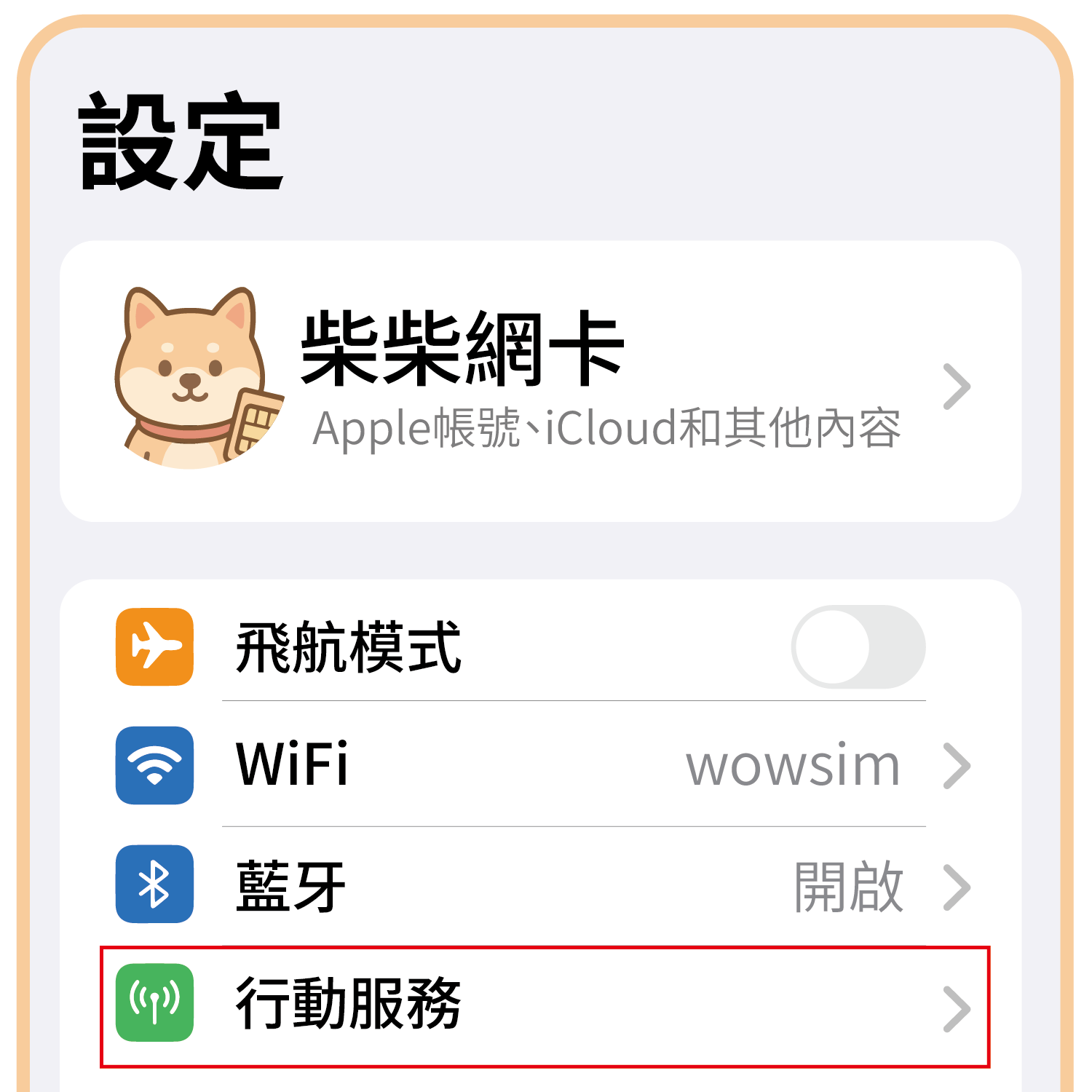 實體SIM卡說明圖-02