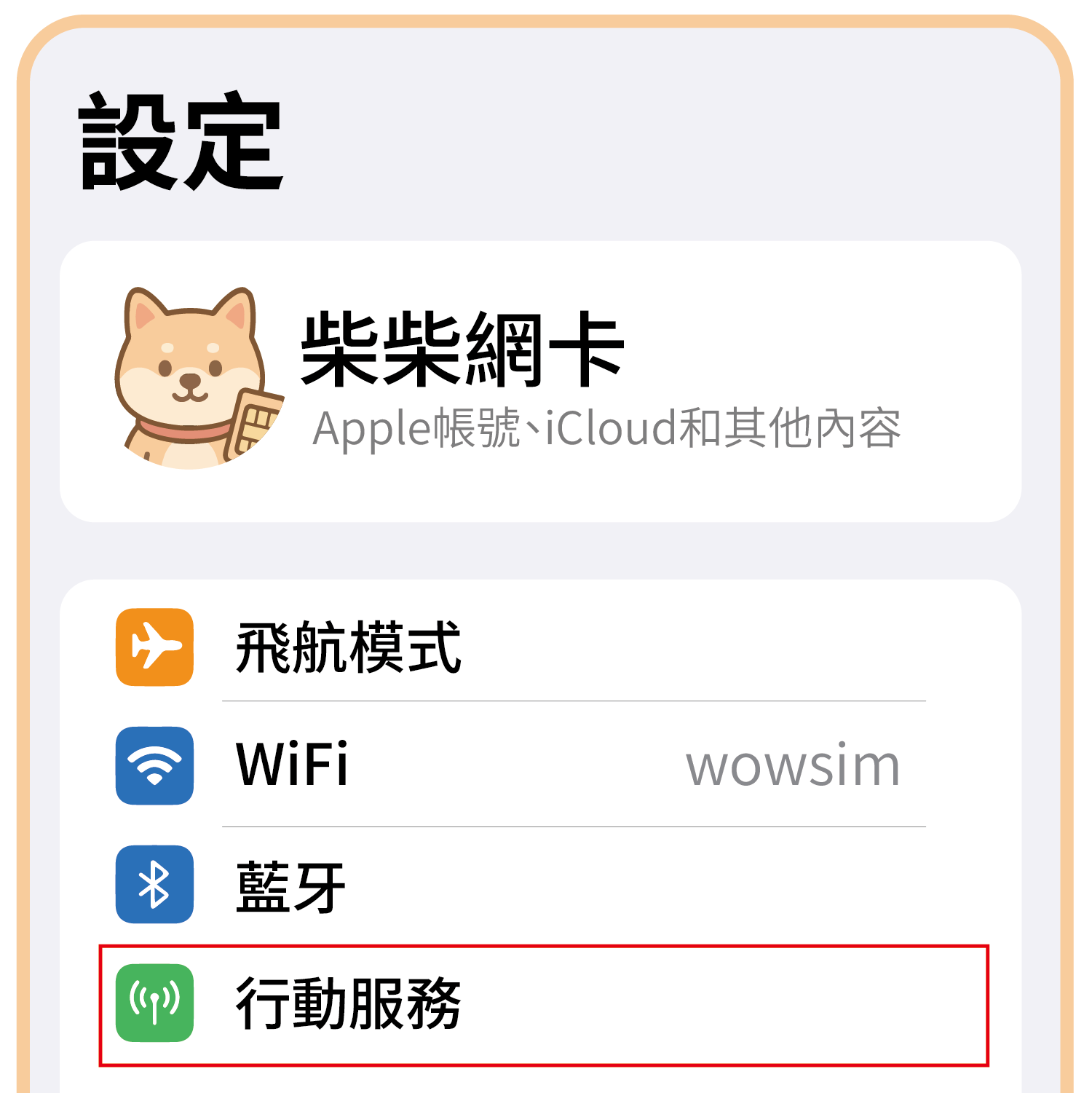 實體SIM卡說明圖_工作區域 1