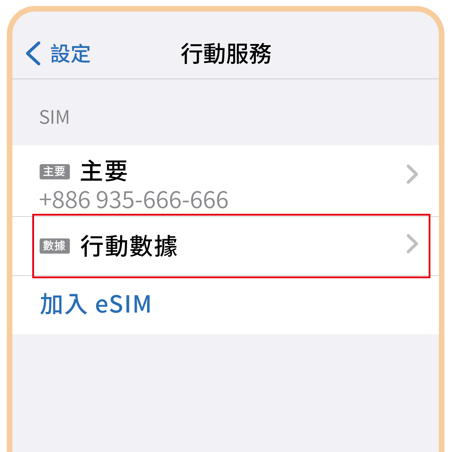 實體SIM卡說明圖-02