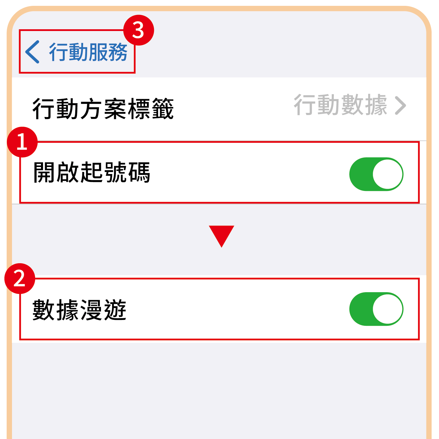 實體SIM卡說明圖-03