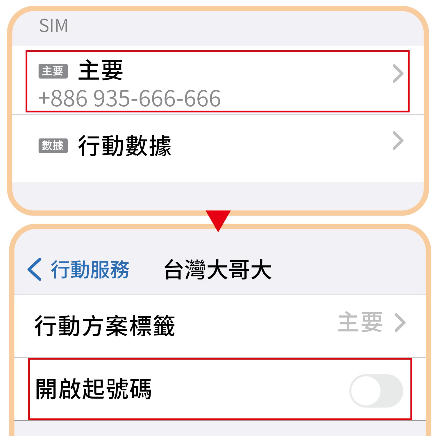 實體SIM卡說明圖-03