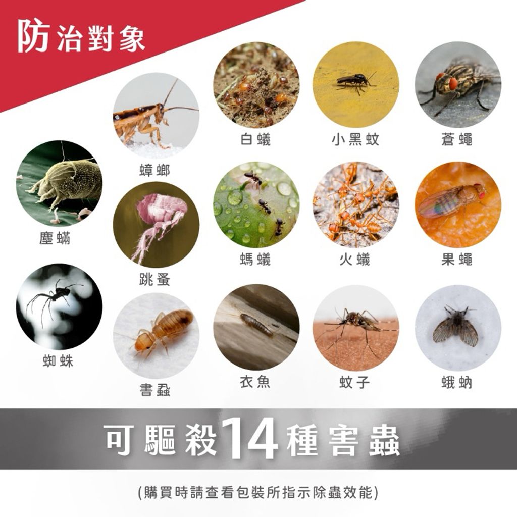 tw-11134207-7rbk7-magf9vwzboba8c