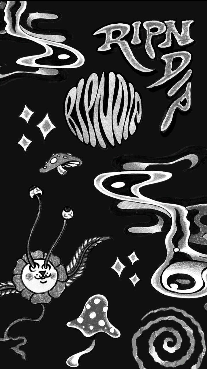  Huicool 匯酷潮流優惠公告