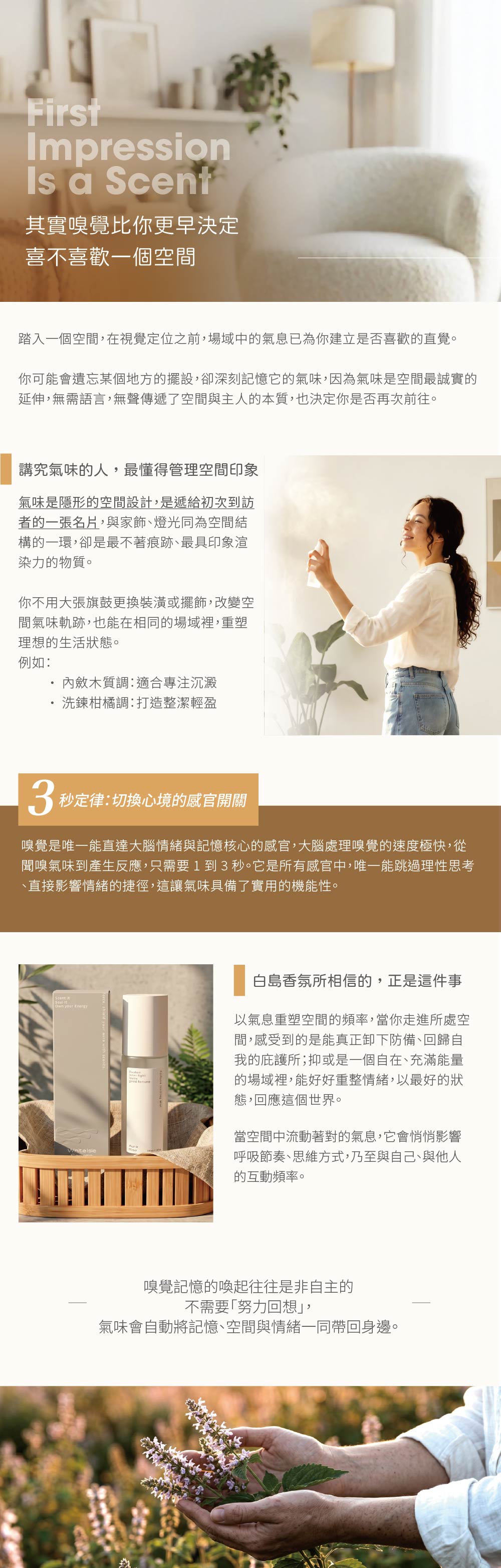知識型文章