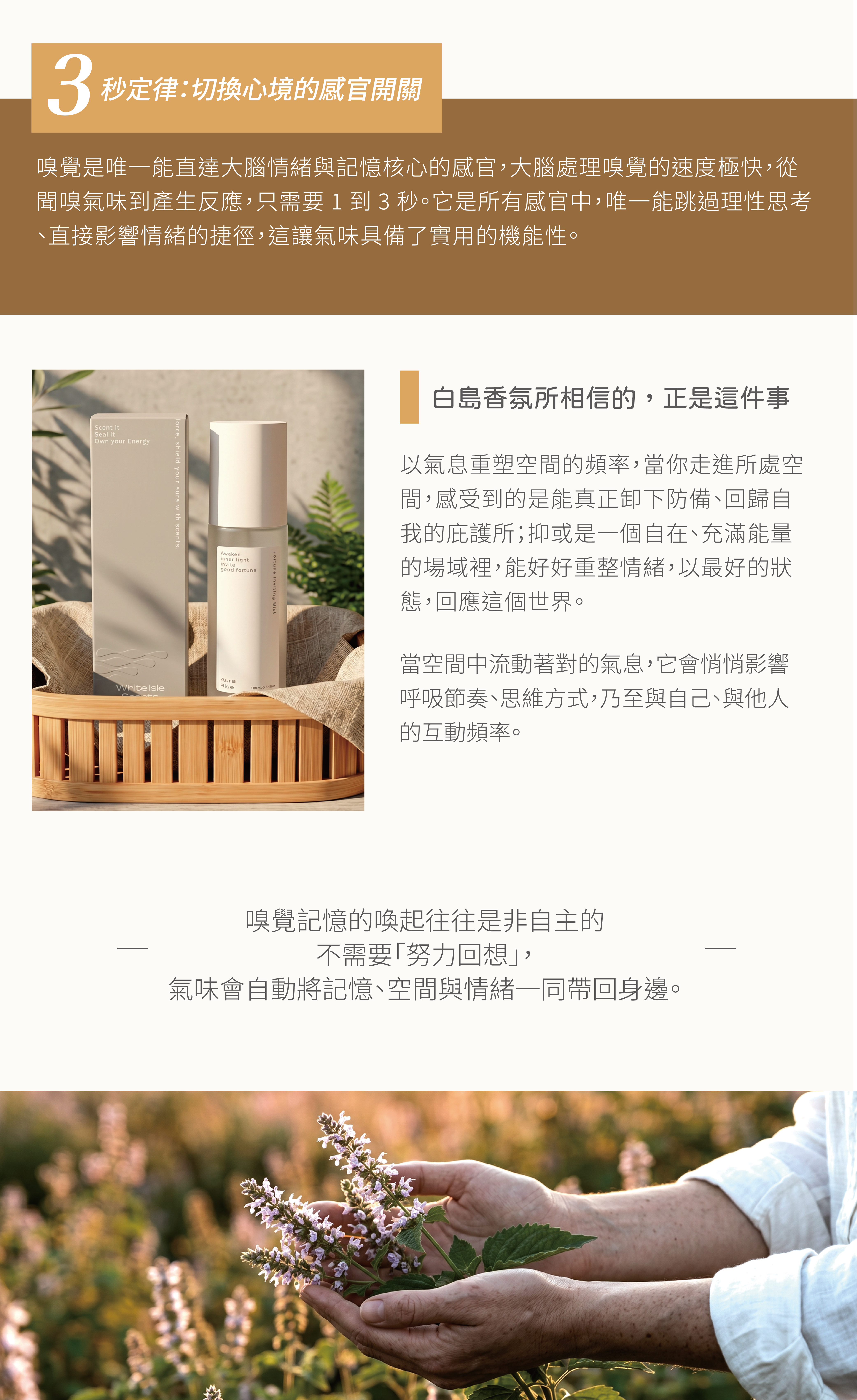 知識型文章-05