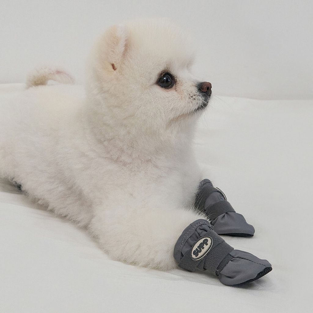 gogo shoes grey 1