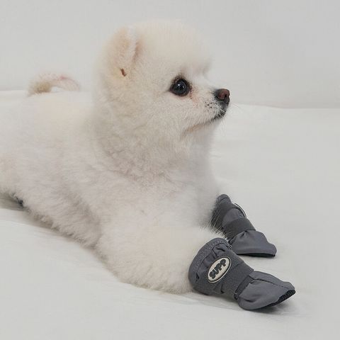 gogo shoes grey 1