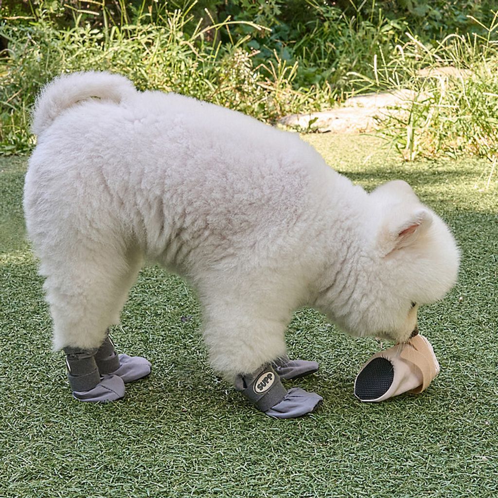 gogo shoes grey